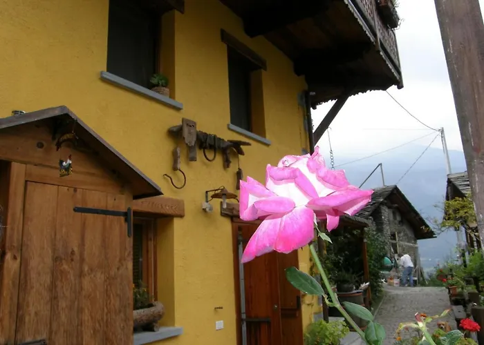 לינה וארוחת בוקר Il Torchio 3*