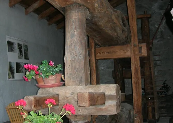 לינה וארוחת בוקר Il Torchio 3*